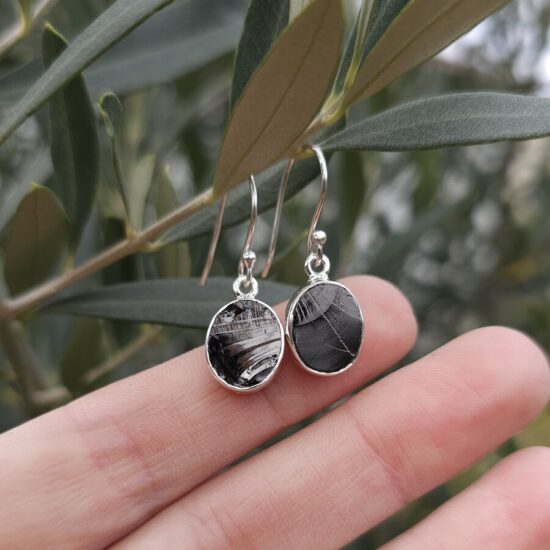 Ženski uhani iz srebra DORIAN, Šungit